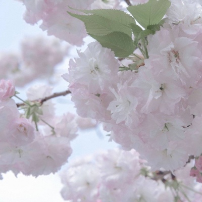 Furry绘画配色指南兽圈群